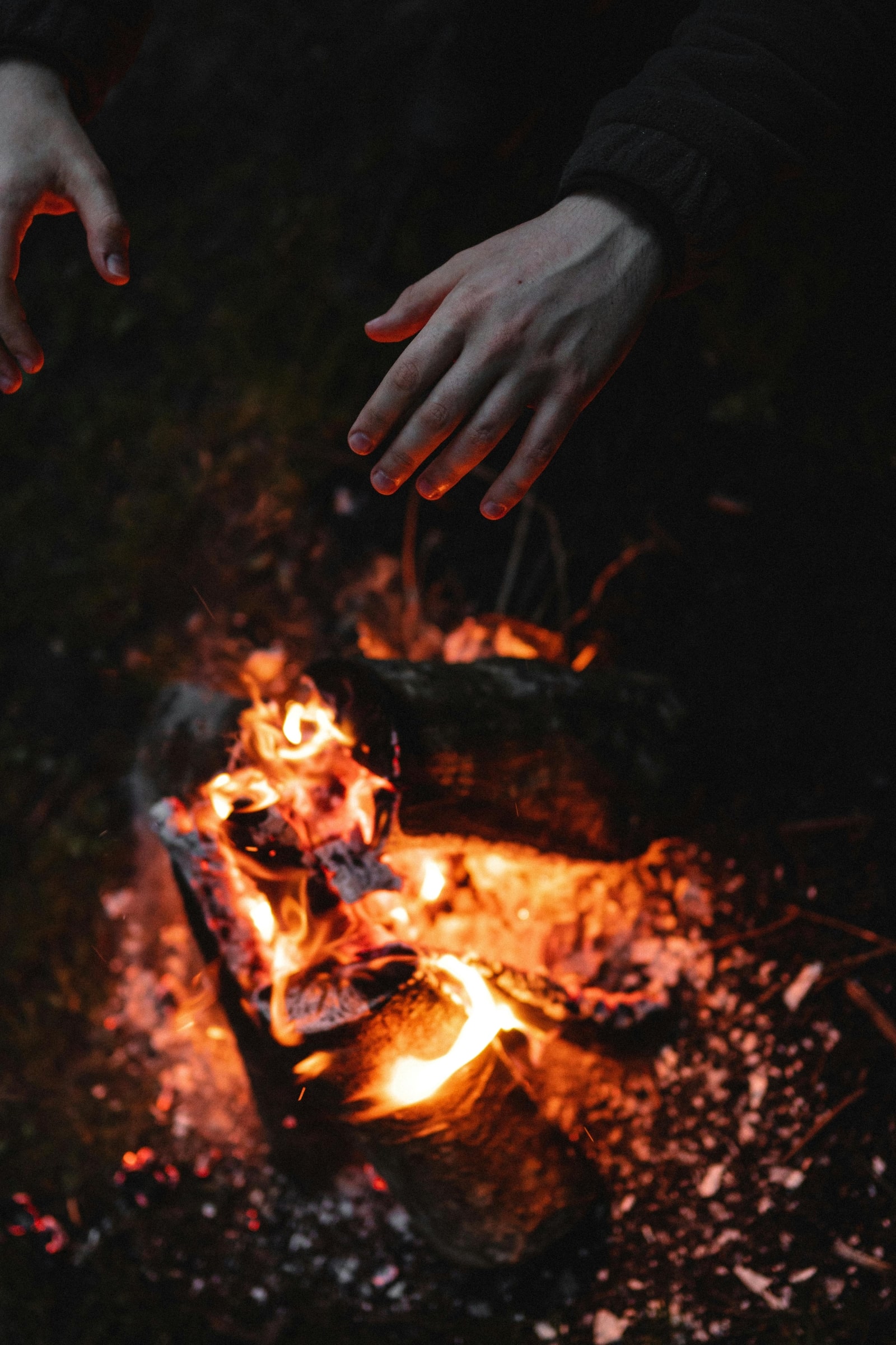 A person extends their hand towards a fire in a wooded area, surrounded by trees and foliage.