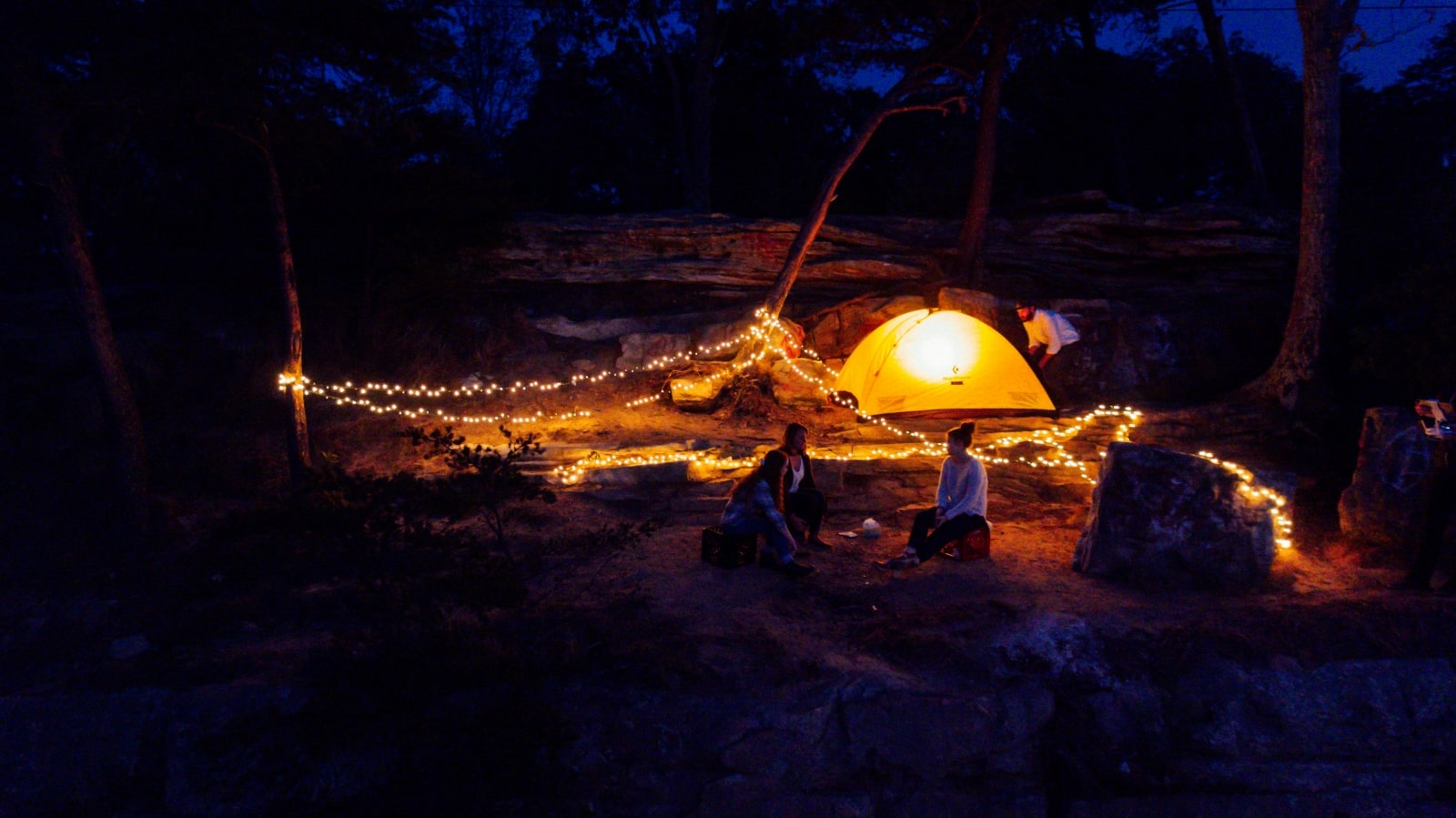 A tent illuminated by lights stands amidst a serene forest, creating a cozy atmosphere in nature.